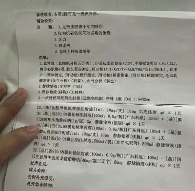 冤堂堂三甲医院面对常见蛇伤却毫无办法j9国际站登录三亚被蛇咬死的美女真(图5)